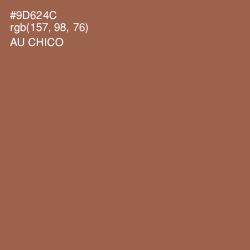 #9D624C - Au Chico Color Image